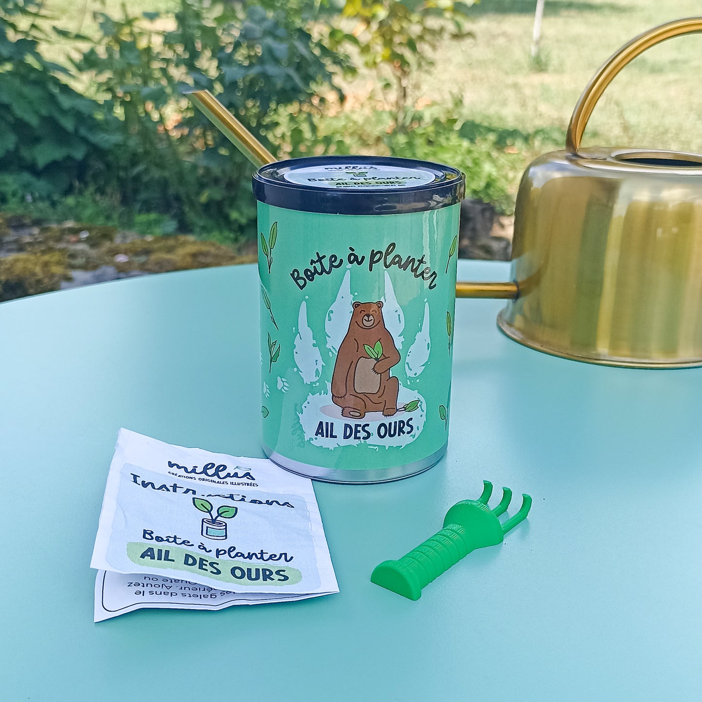 Boîte à planter - Ail des Ours