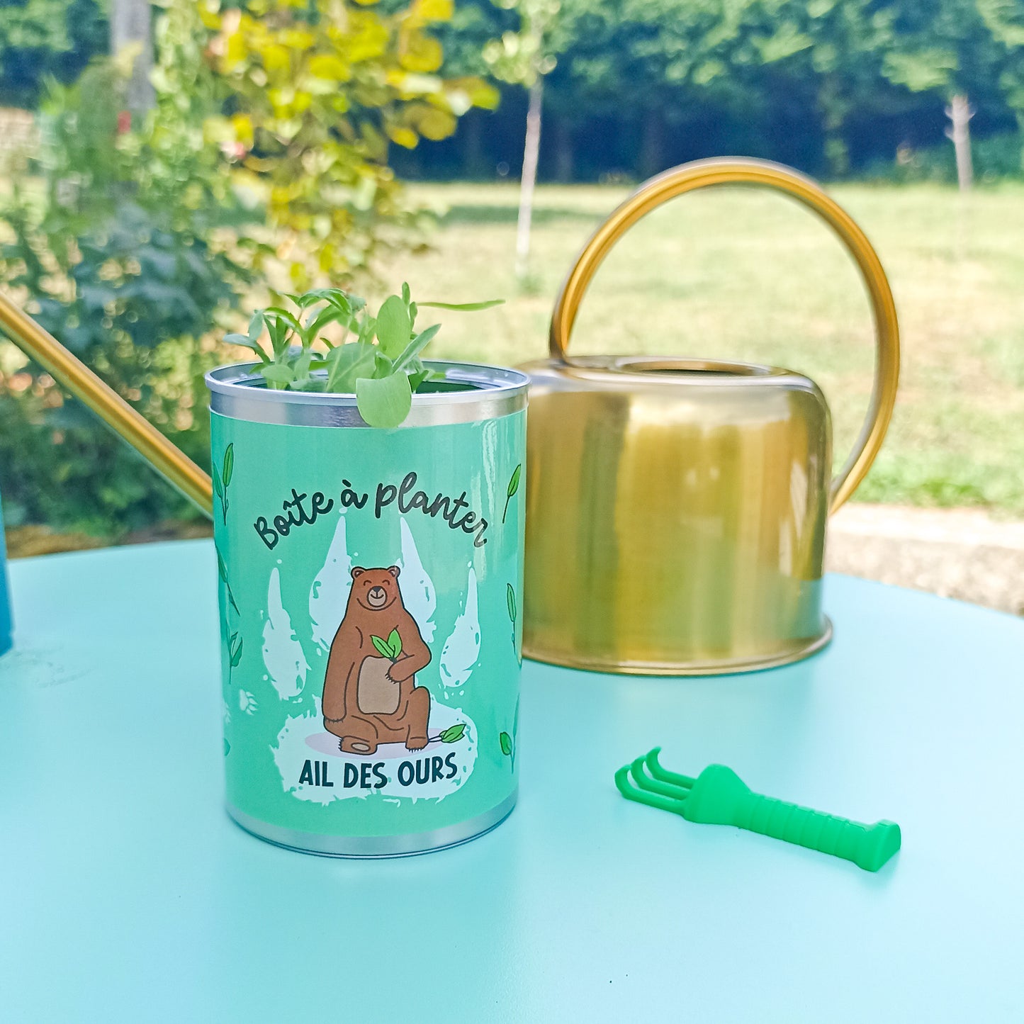 Boîte à planter - Ail des Ours