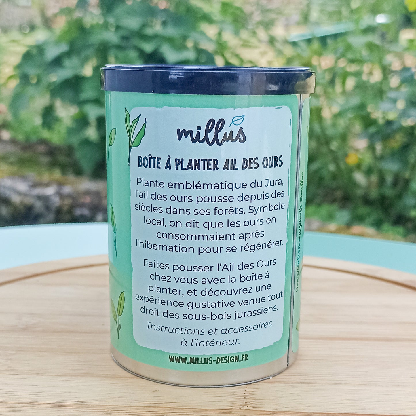 Boîte à planter - Ail des Ours