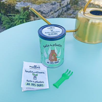Boîte à planter - Ail des Ours