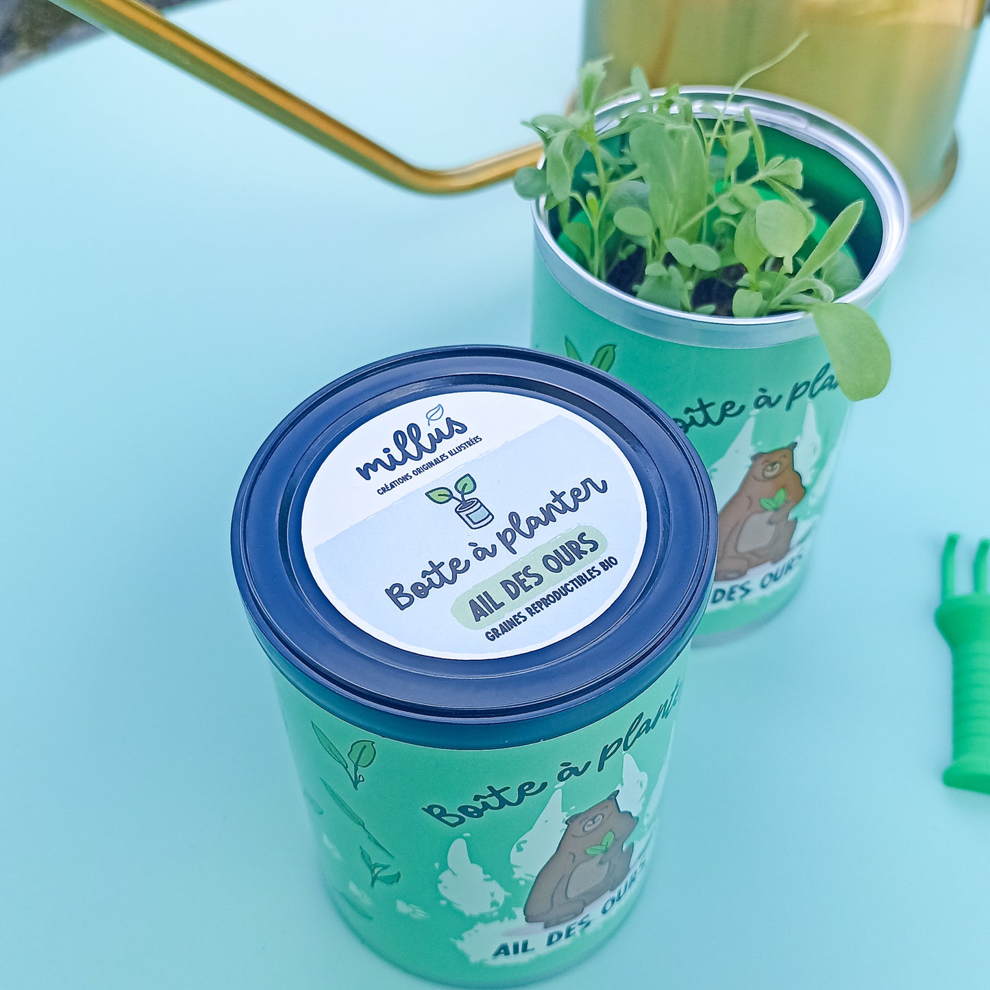 Boîte à planter - Ail des Ours