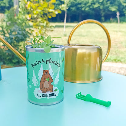 Boîte à planter - Ail des Ours