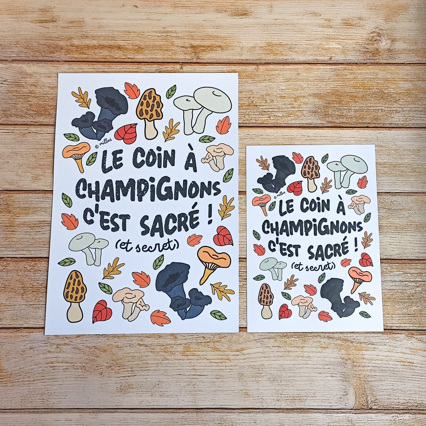 Affiche illustrée - Coin à Champignons